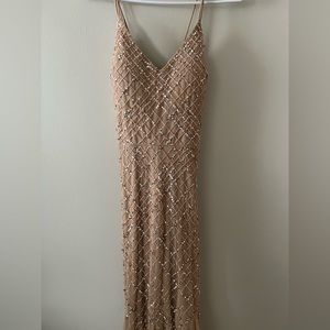 Adriana pappell platinum dress in champagne